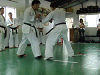 imido (111)_samu.gif